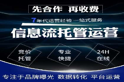 SEM搜索引擎优化策略解析与应用案例